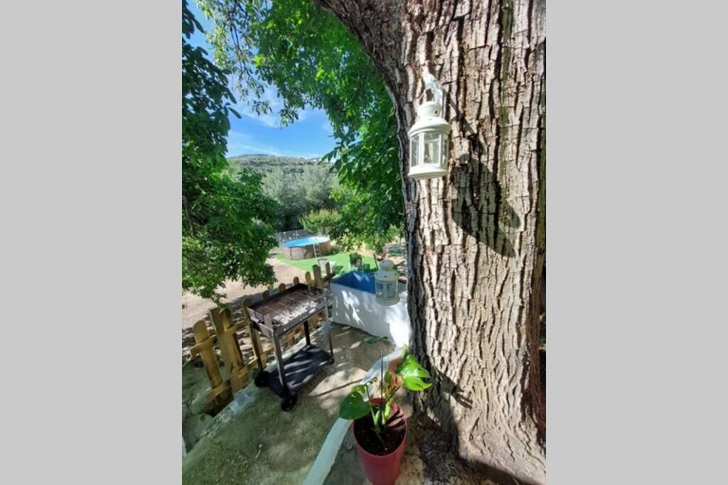La Huerta Del Castillo Con Su Caz De Agua - Enjoy Life & Relax Castillo de Locubin Bagian luar foto